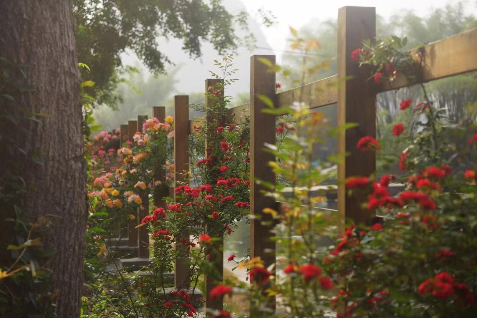 Moondance Boutique Resort Yangshuo Exterior foto